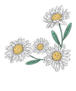 Faith Hope and New Beginnings