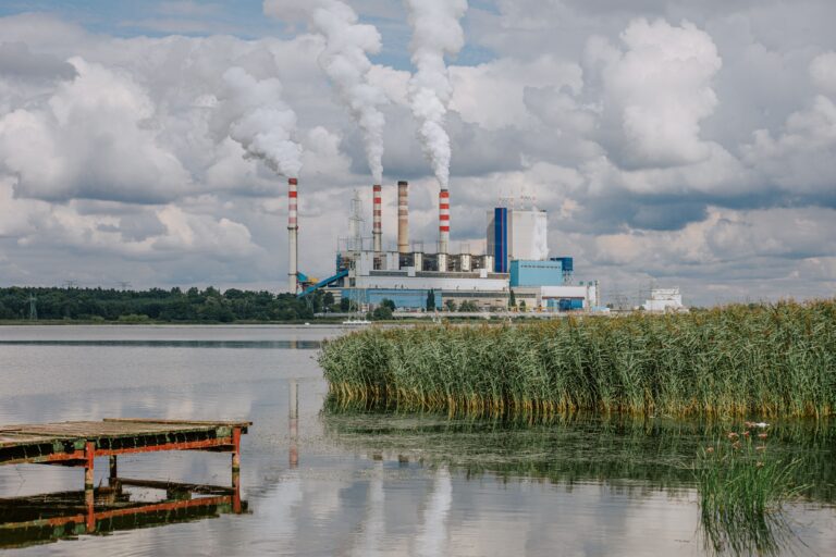 Power plant emitting smoke with a waterfront view of a lake and reeds.
