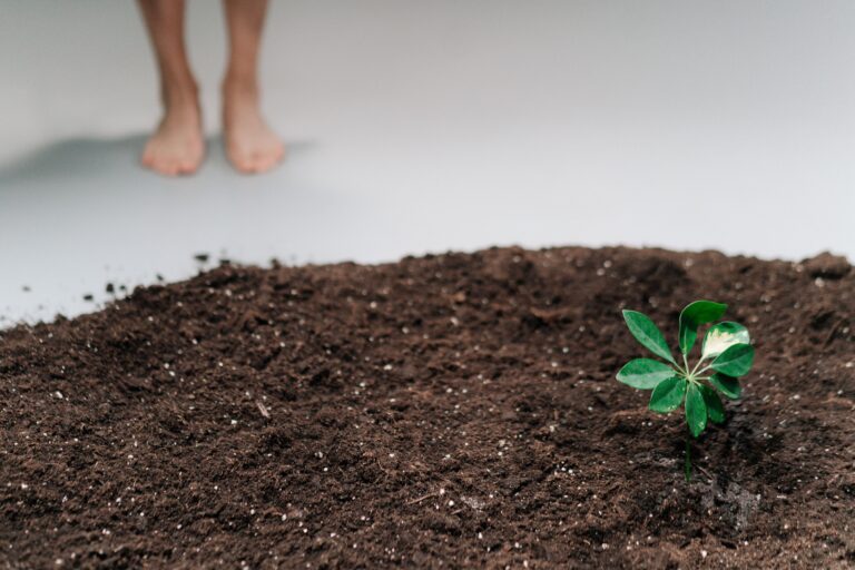 A vibrant young plant sprouting in rich soil with a blurred human presence in the background.